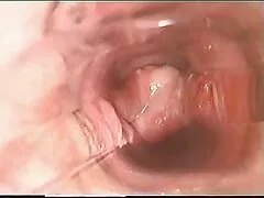 Deslumbrante dama de jengibre está tomando culosxxx una gran polla en un picnic